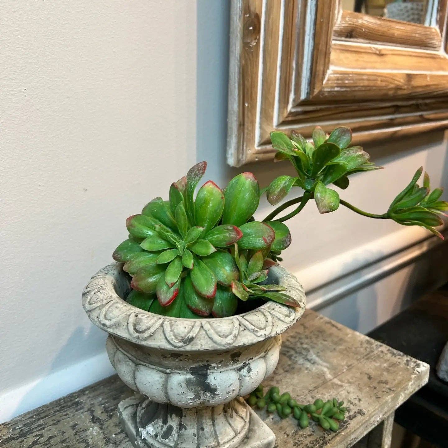 Mothology Home - Wholesale Plant Pot - Cement Planter Urn1