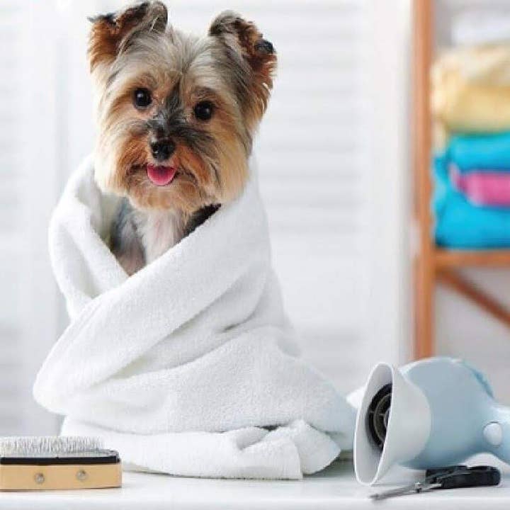 Pet Palette Distribution - Wholesale Pet Towel - Dog - ThoozyPet 6pk 100% Cotton Towels with Red Paw 20" x 40"1