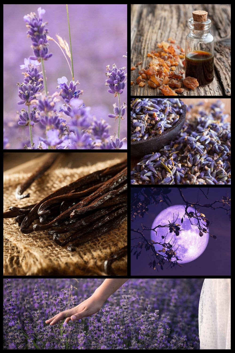 Burke & Hare Co - Wholesale Roll-On Fragrance - Lunacy - Lavender Perfume Oil - Witchy Fragrance 2