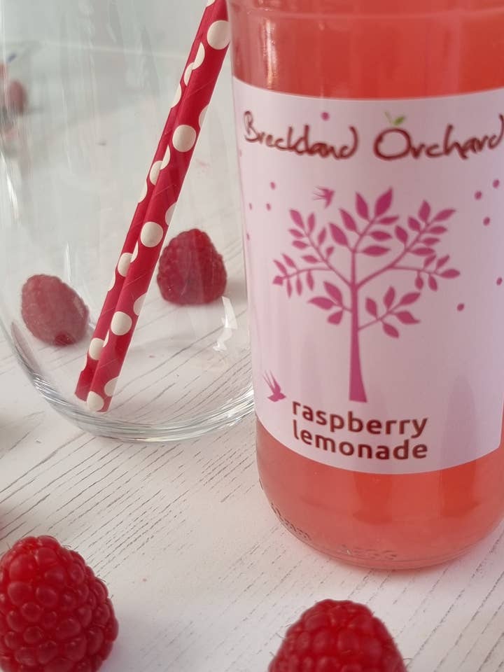 ZERO Sugar Raspberry Lemonade Posh Pop 12 x 275ml for wholesale by Breckland Orchard