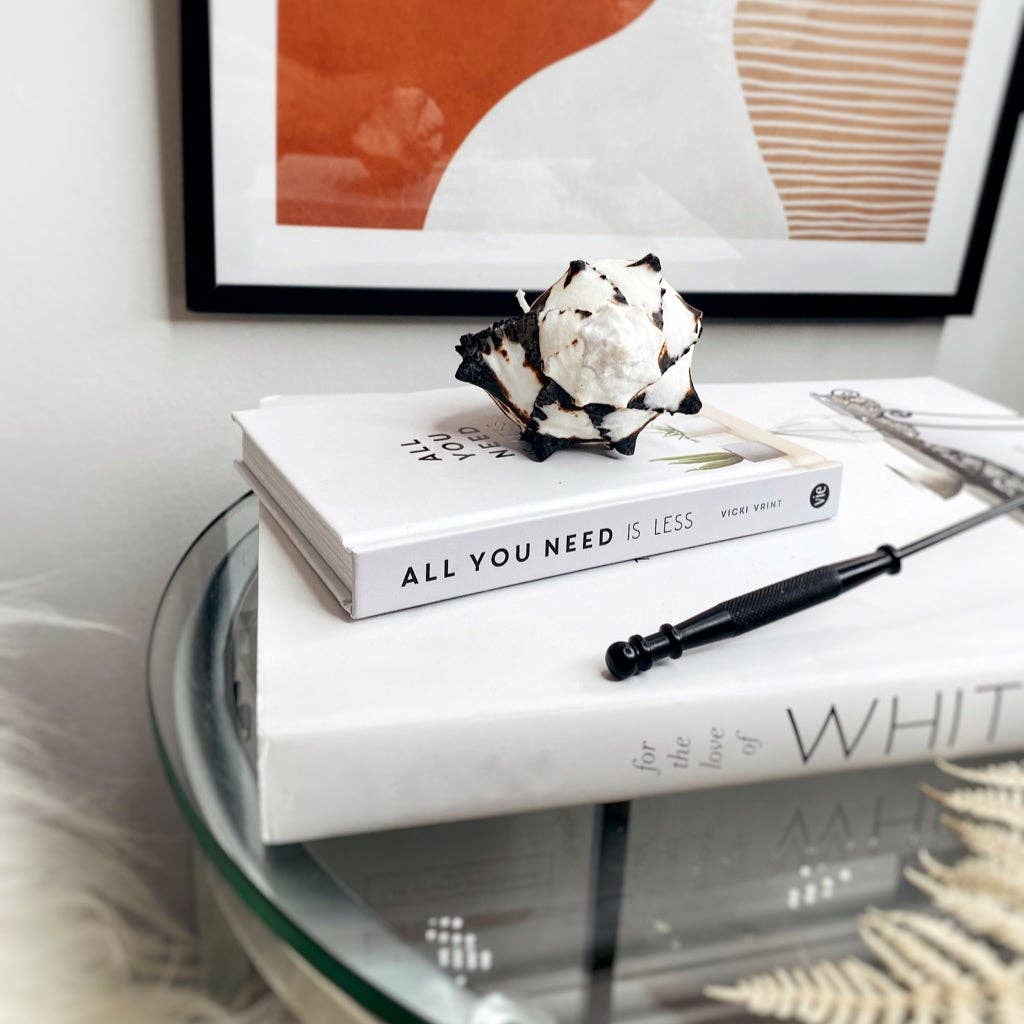 Jasmine Alice Home - Vente Bougies originales - Grande bougie en coquille de murex noir4