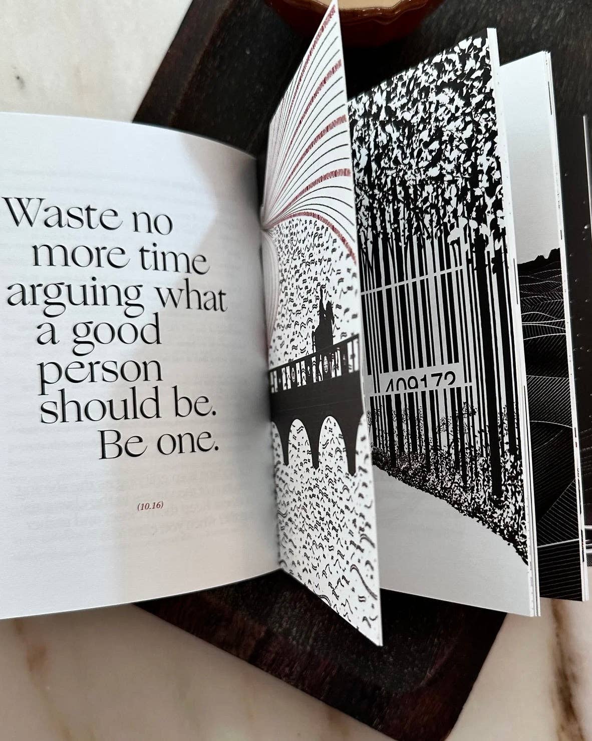 Obvious State - Wholesale Philosophy Book - The Meditations, Marcus Aurelius4