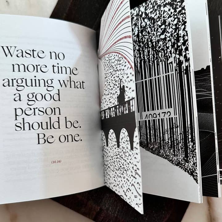 Obvious State - Wholesale Philosophy Book - The Meditations, Marcus Aurelius4