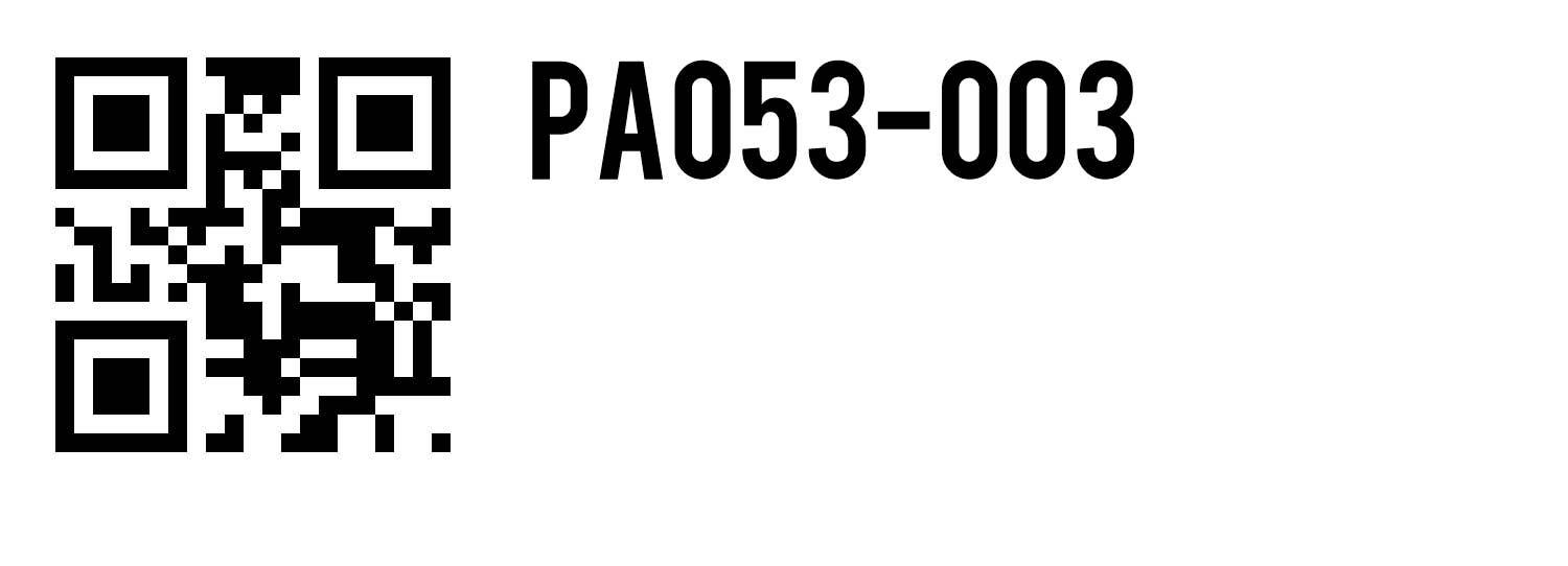 Original USA - Wholesale Scarf - Women's - Floral Pashmina18