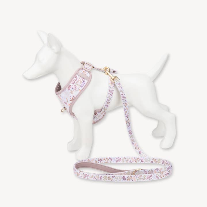 WYLD CUB - Wholesale Pet Harness - Dog - Adjustable Dog Harness: Chiswick Oyster NEW4