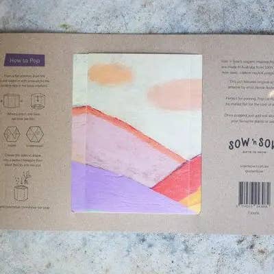 Sow 'n Sow - Wholesale Plant Pot - Pop Up Pot 'Clouds' Large