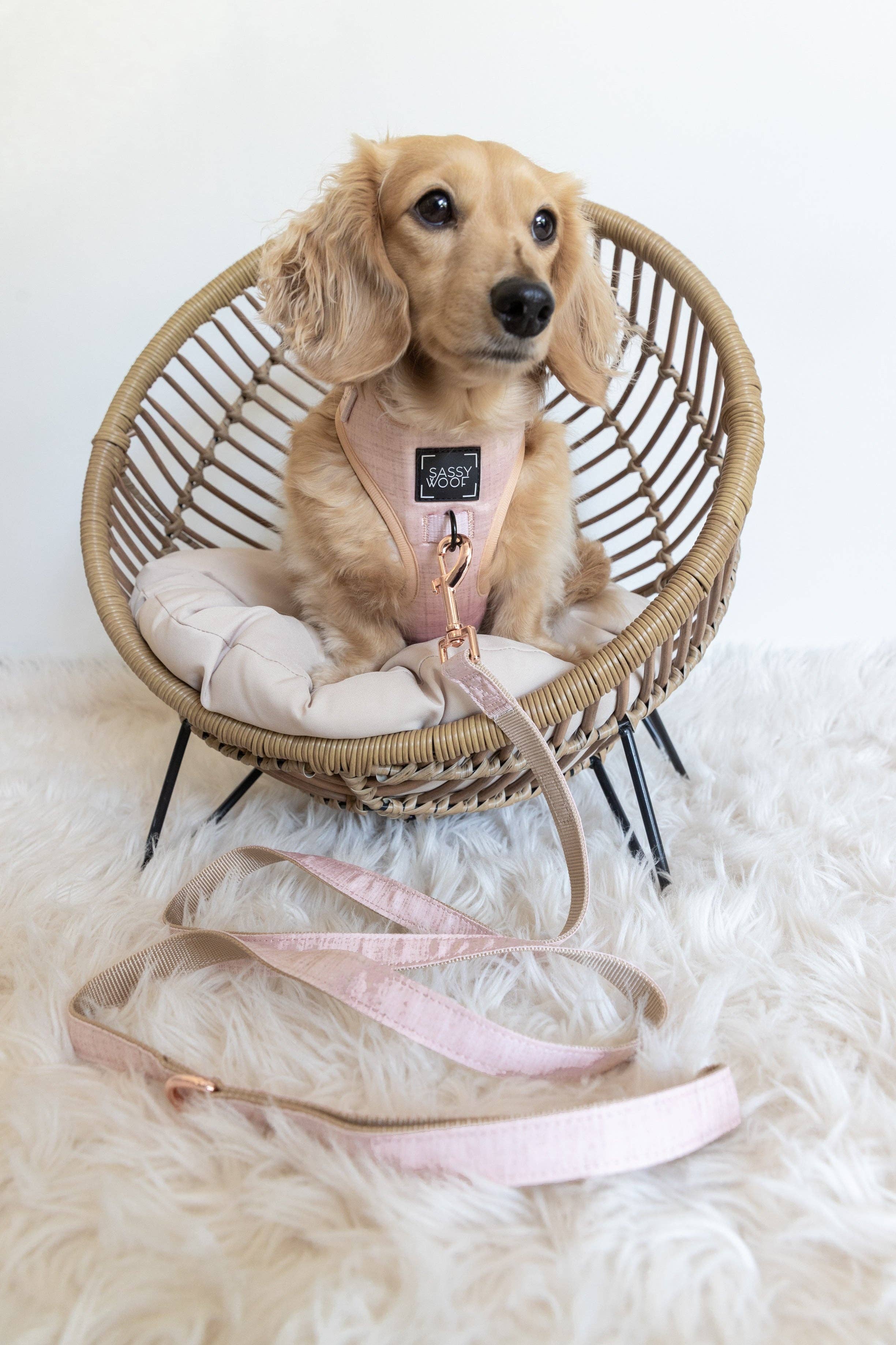 SASSY WOOF - Wholesale Pet Leash - Dog - Dog Leash - Pinot5