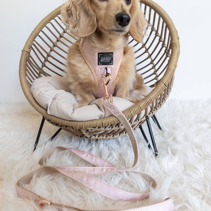 SASSY WOOF - Wholesale Pet Leash - Dog - Dog Leash - Pinot5