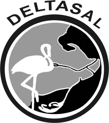 Khayyan Specialty Foods - Wholesale Salt - Escamas de Sal Marina Gourmet Sea Salt Flakes2