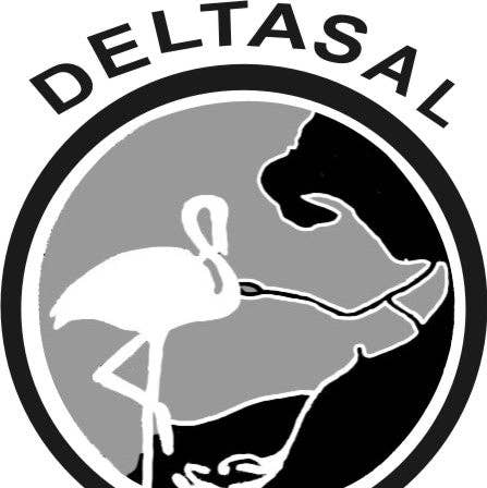 Khayyan Specialty Foods - Wholesale Salt - Escamas de Sal Marina Gourmet Sea Salt Flakes 6/700gr - ZONA2