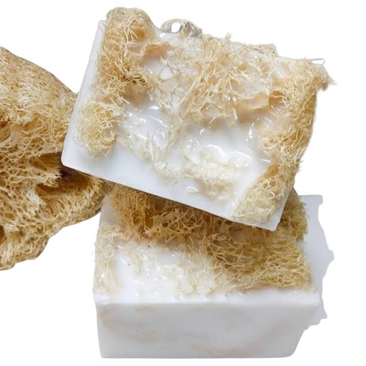 Luffas-Bar für den Großhandel von Body Vanity