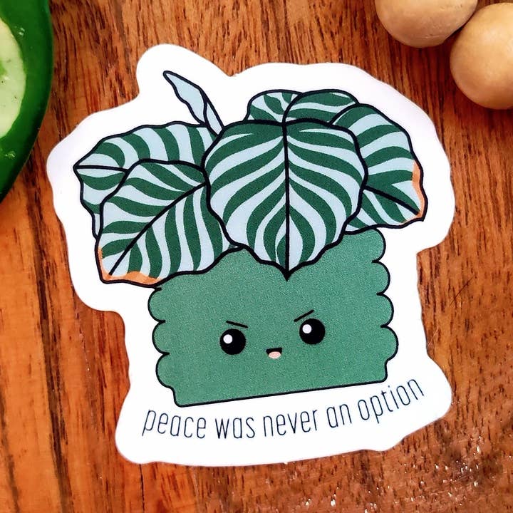 Calathea Orbifolia for wholesale by BumbleB Graphic Design