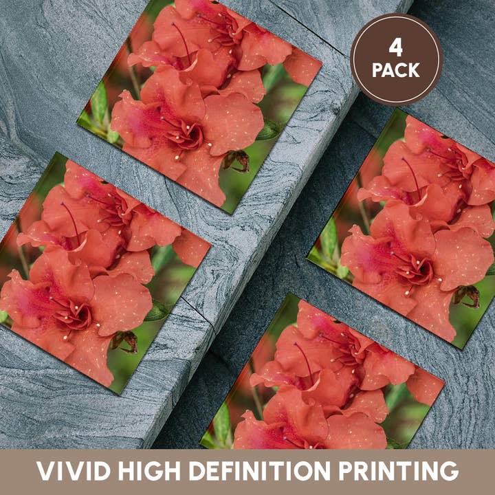 3dRose - Wholesale Coasters - 3dRose, Close-up of orange azalea bush, Coaster5