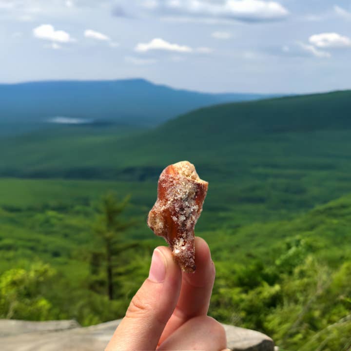 Outsiders Kitchen - Wholesale Pretzels - Sugar + Spice Pretzel Bites | Case of 243