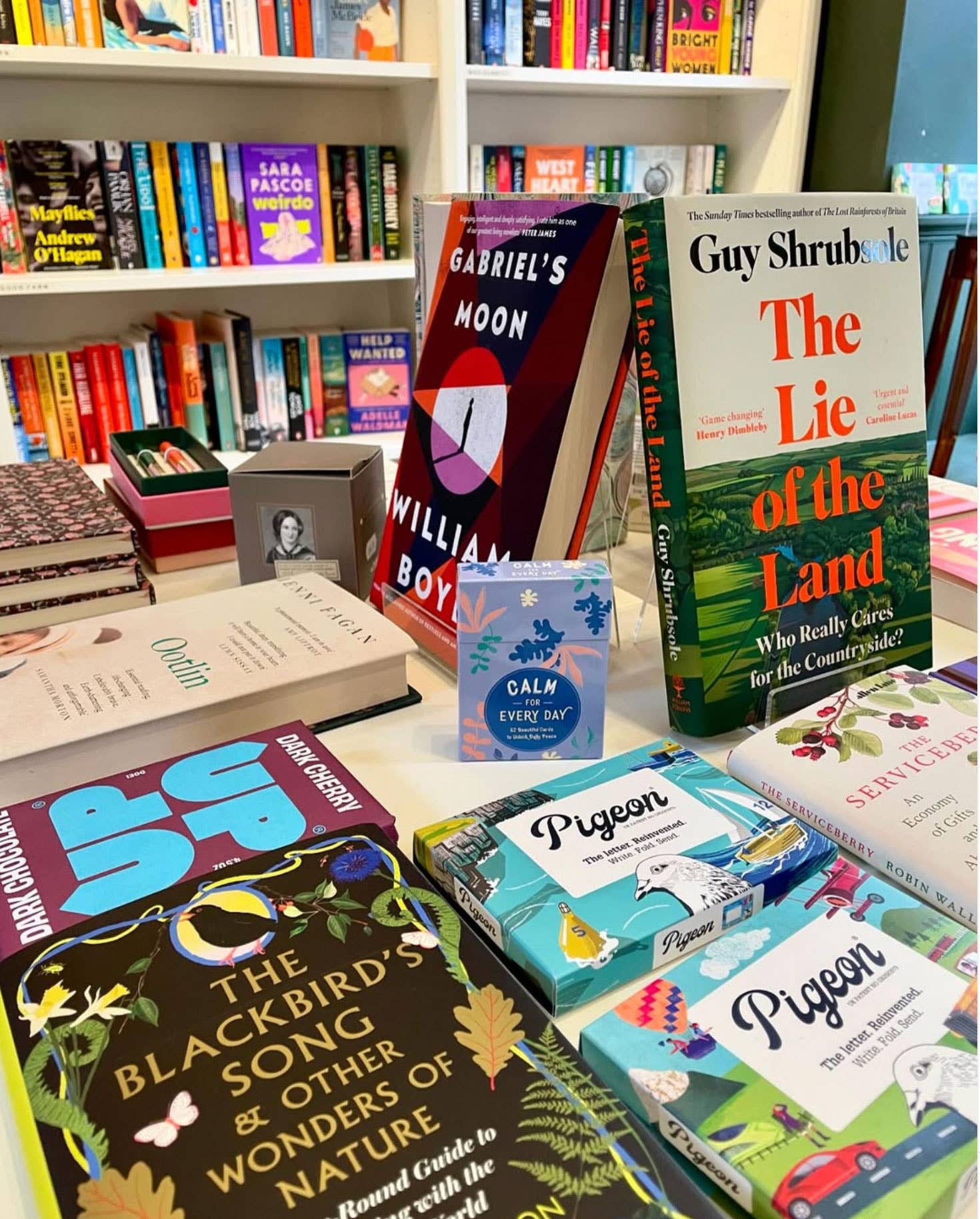 pigeonposted - Wholesale Stationery/Notecard Set - Bookstore Pigeon, Folding Stationery Letter Pack, Pack of 64