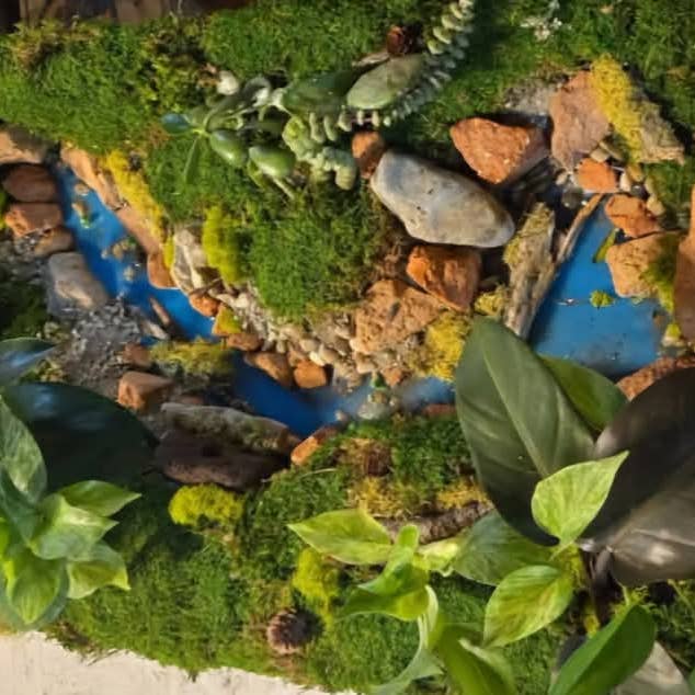 Curated Living Wall Panels – Retail-Ready 2-Pack (Large) for wholesale by Plantosaurus Rex