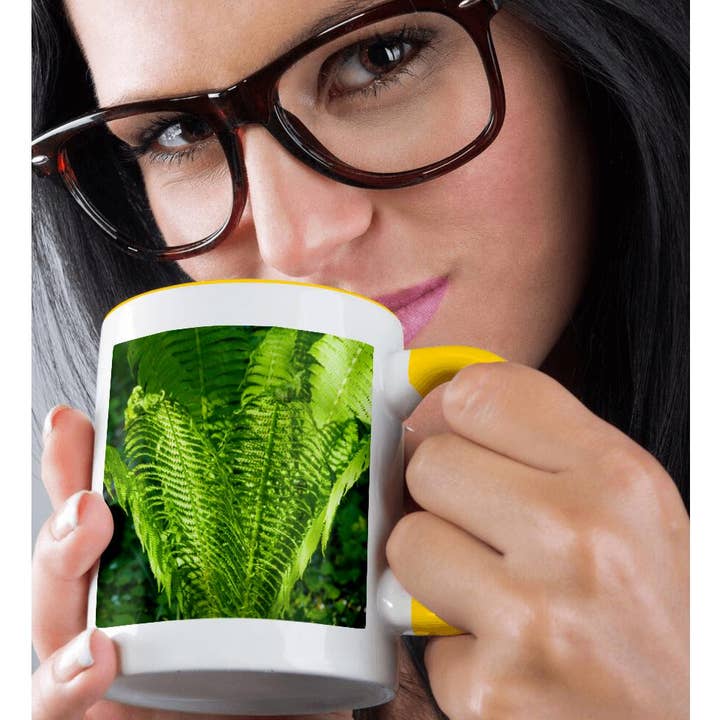 3dRose - Wholesale Coffee Mug - 3dRose, Fiddlehead fern plant, green bowl of spring, Mug1