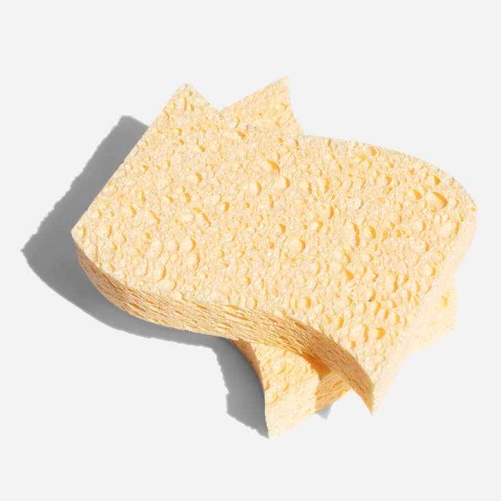 Seep Large Compostable Eco Sponges - 2 Pack – Eco-Homemaker