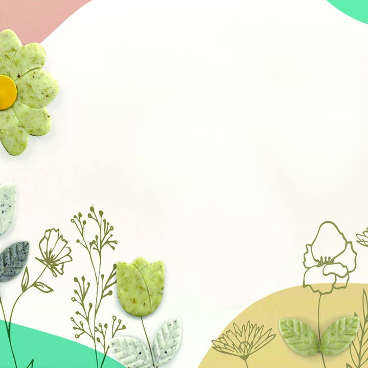 Graine Créative - Wholesale DIY Craft Kit - FIMO DISPLAY WITH BOTANICAL COLOR EFFECT2