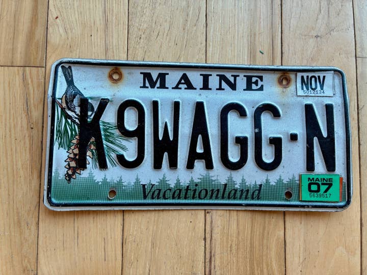 Matrícula personalizada de Maine (2007) - K9WAGG-N para venta al por mayor de RusticPlates