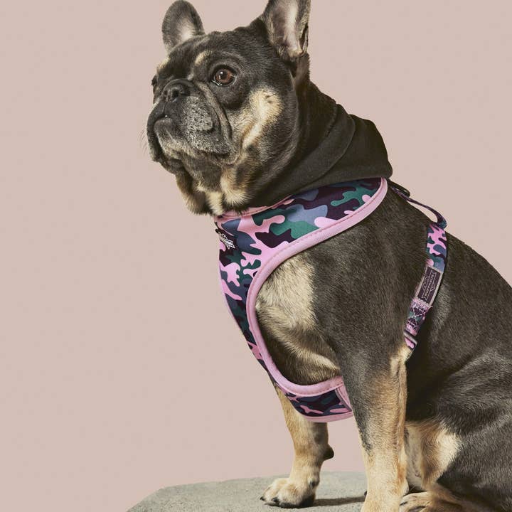 Ruffhaus NYC - Wholesale Pet Harness - Dog - Camo QT Pink Hoodie Harness2
