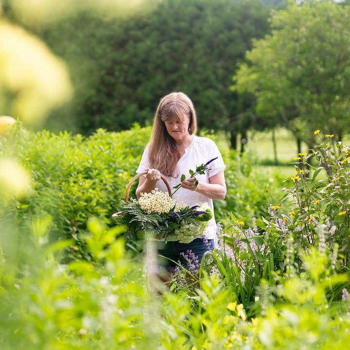 Petal People Press - Wholesale Everyday Greeting Card - Bookworm2