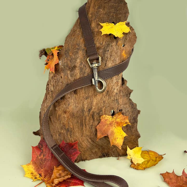 HugglePets - Vente Laisse – chien - Laisse pour chien HugglePets Legacy en cuir35