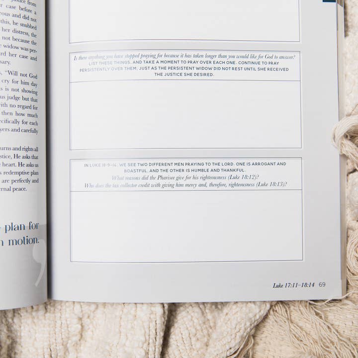 The Daily Grace Co - Wholesale Religion - Eden to Eternity | The Chronological Story of Scripture | Volume 42