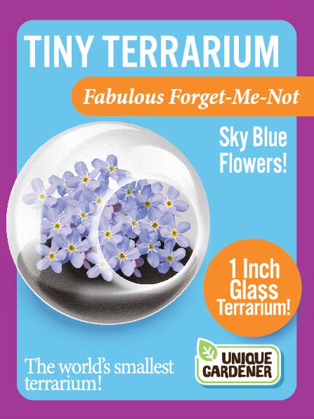 Silver Circle Products - Wholesale Retailer Display - Home & Living - Tiny Terrariums Flowering Counter Display with 6 Varieties7