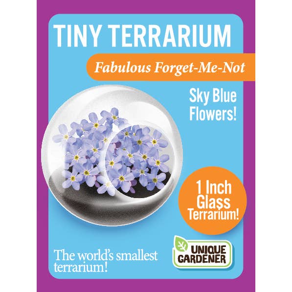 Silver Circle Products - Wholesale Retailer Display - Home & Living - Tiny Terrariums Flowering Counter Display with 6 Varieties7