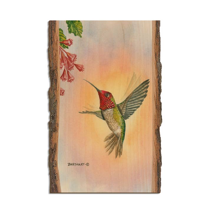Anna Hummingbird - Wood Magnets & Postcards for wholesale by DaydreamHQ