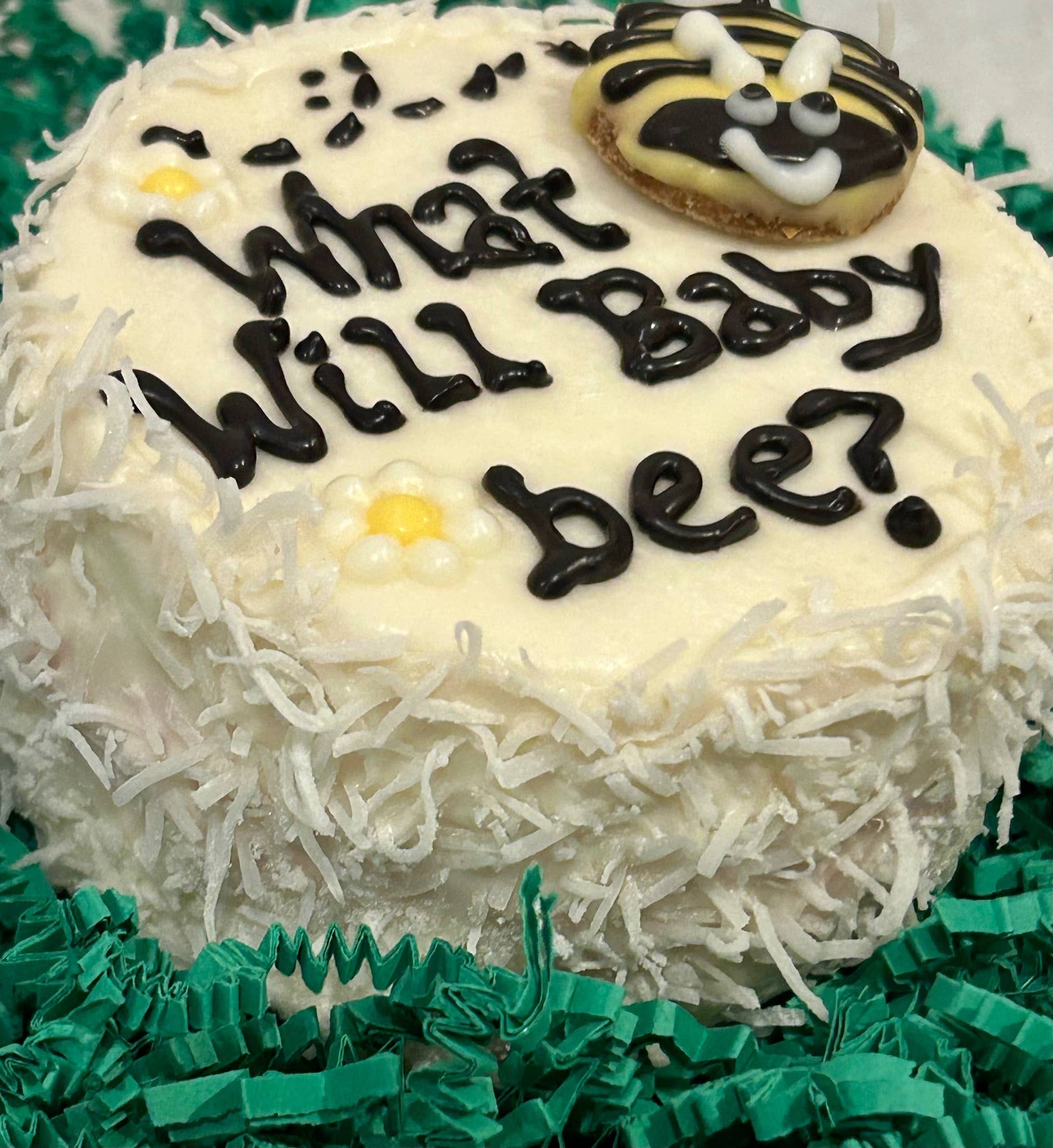 DELCO DOG CO. - Wholesale Pet Treats - Dog - Puppy Reveal Dog Cakes1