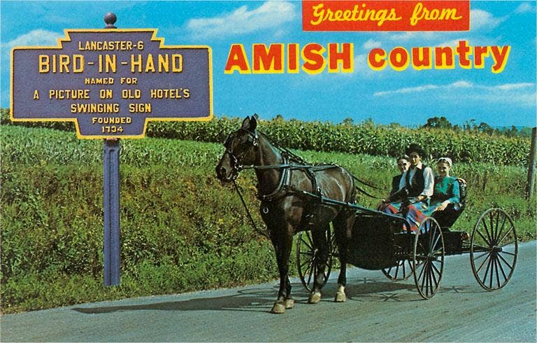 Found Image Press - Wholesale Postcard - Postcard PA-499 Greetings from Amish Country0