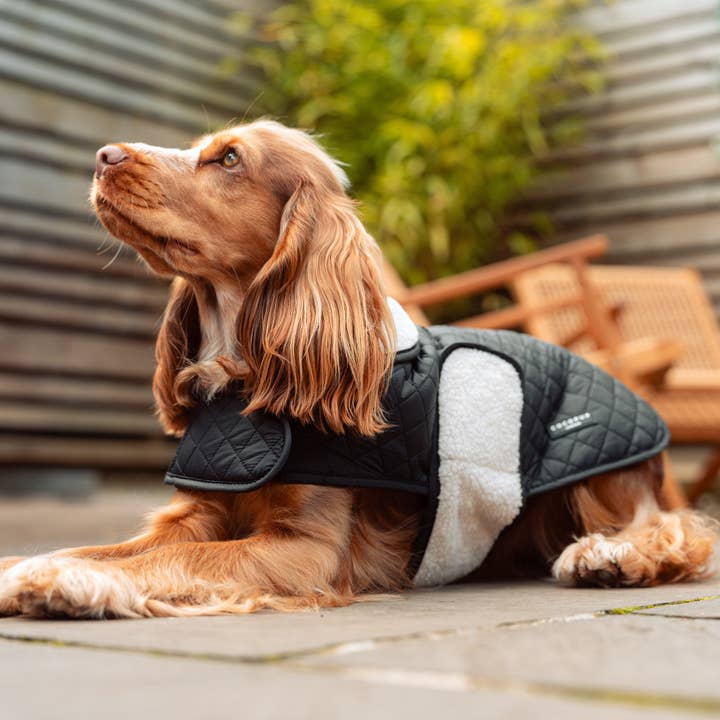 Cocopup London - Vente Manteau – chien - Manteau matelassé LUXE pour chien - Midnight Black10