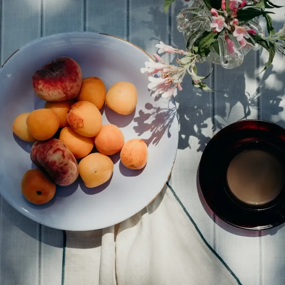 CASAgent - Wholesale Serving Plate - Pasta plate 256