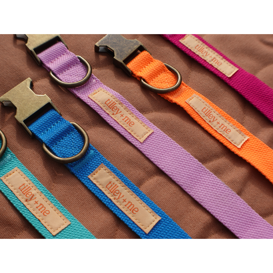 Tilley + Me - Wholesale Pet Leash - Dog - Hemp Cotton Dog Leash - Adjustable & Lightweight19