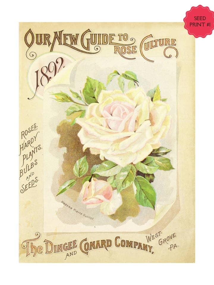 VINTAGE FRØPAKKE KUNSTTRYK #1 for engroshandel hos Crow's Tourmaline