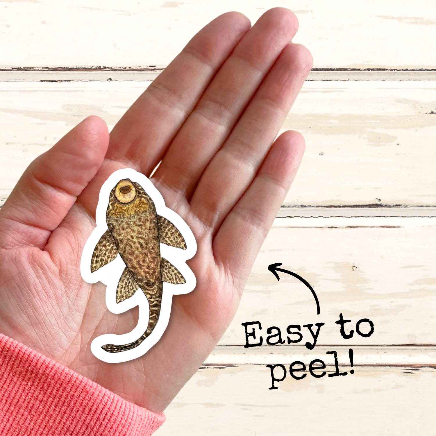 Fins and Frags - Wholesale Sticker - Handmade Pleco Sticker, for Fish & Aquarium Lovers4