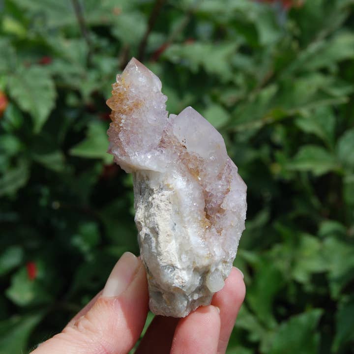 Caspar Curiosities - Wholesale Spiritual Stone/Crystal - 3in 150g Amethyst Spirit Quartz Crystal Cluster, Medium Spirit Quartz, South Africa 2