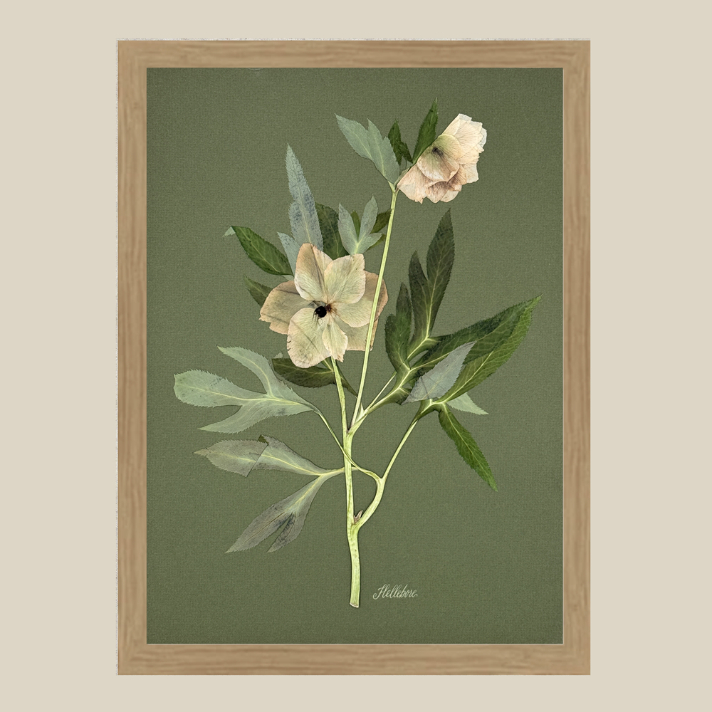 The Fleur De Lis House – Escultura por atacado – Arte de parede verde com heléboro prensado único.4