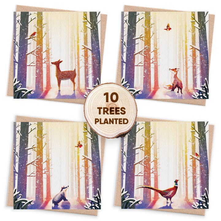 Recycled Christmas Card Box & Eco Seed Gifts. Winter's Glow for wholesale by 1 Tree Cards