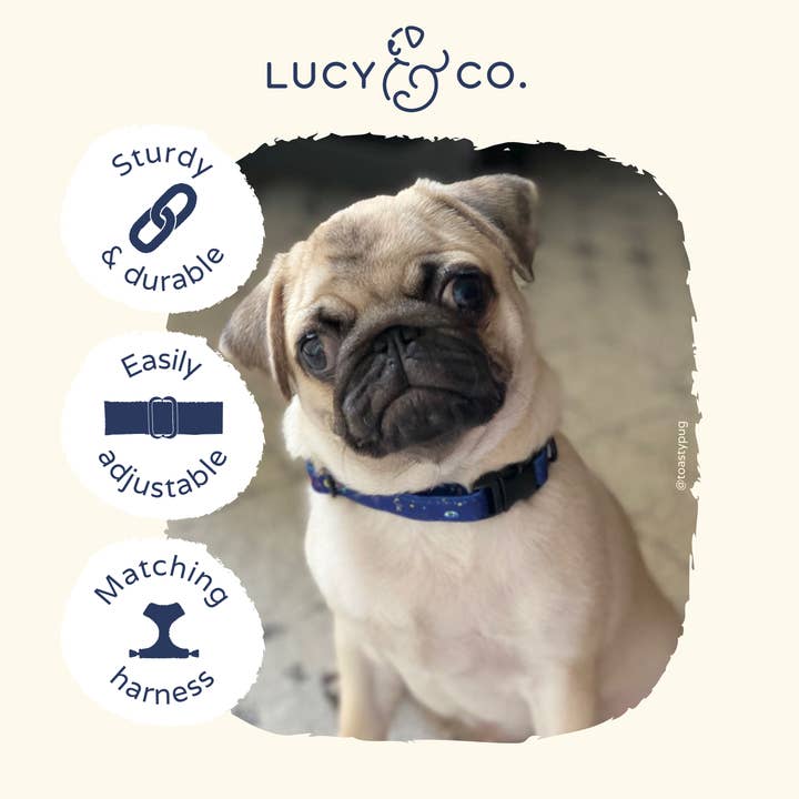 Lucy & Co. - Vendita all'ingrosso Collare - Cani - Space Doodle Collare3
