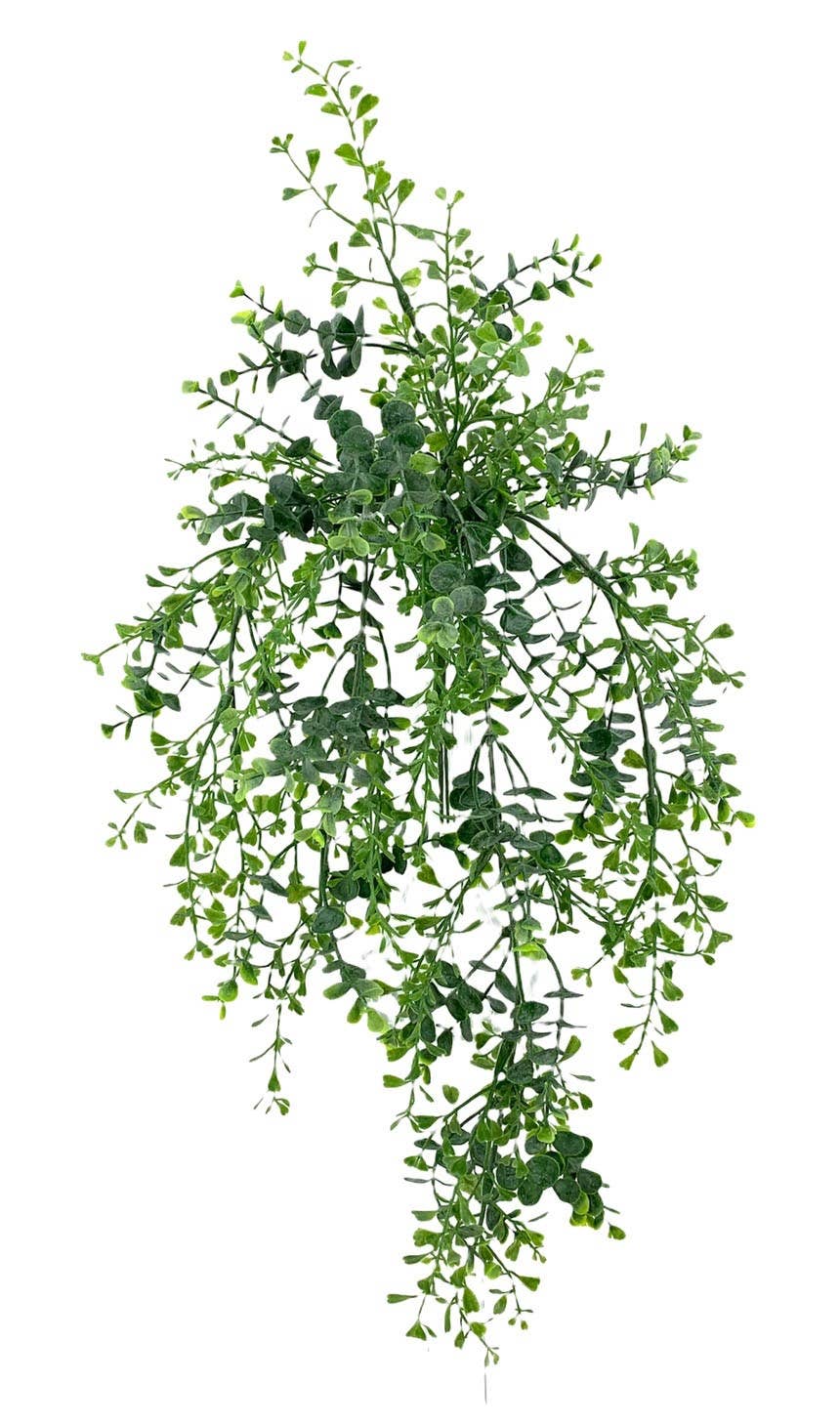 Aguilar Málaga - Wholesale Artificial Plant - PL.eucalip.plast.pendant. 64 cm0