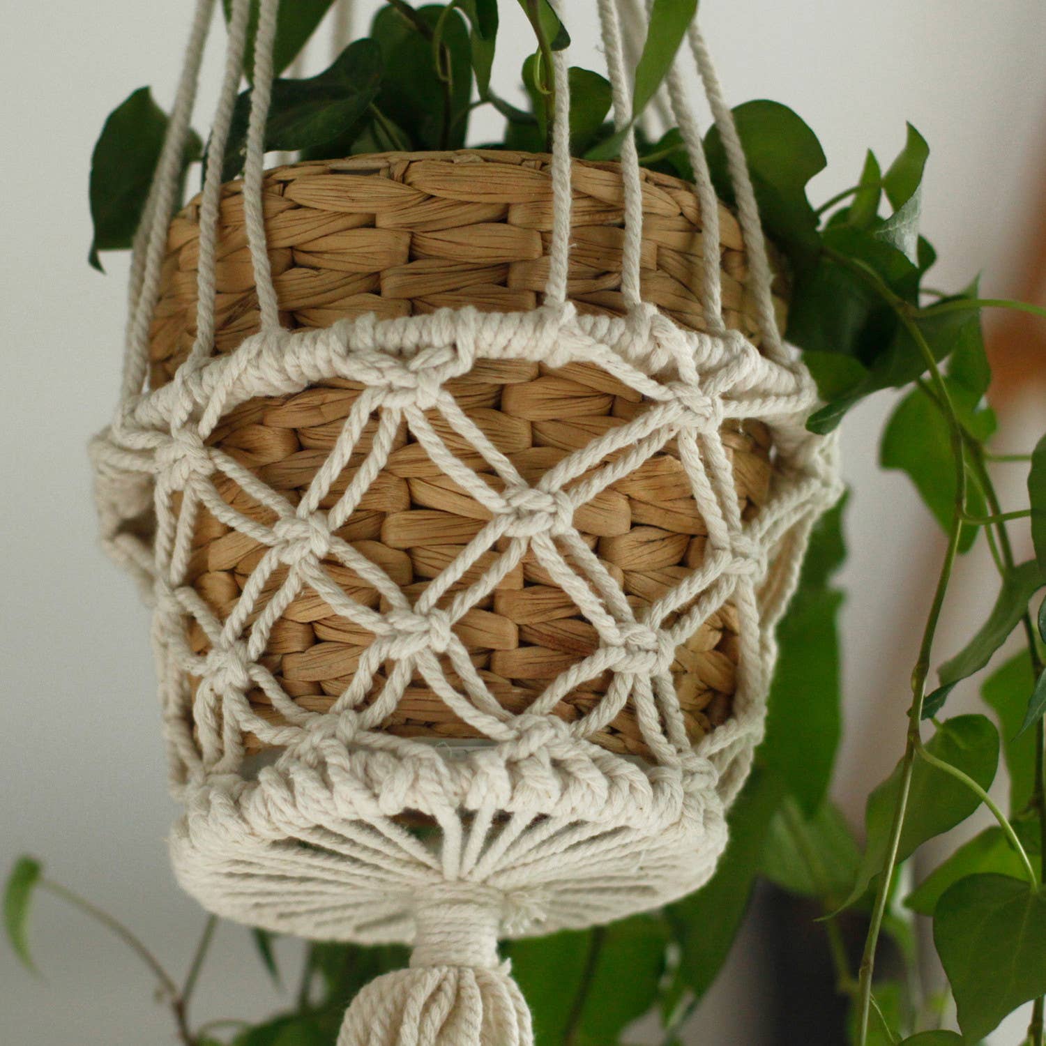 AW Artisan - Wholesale Hanging Planter - Macrame planters - Small2
