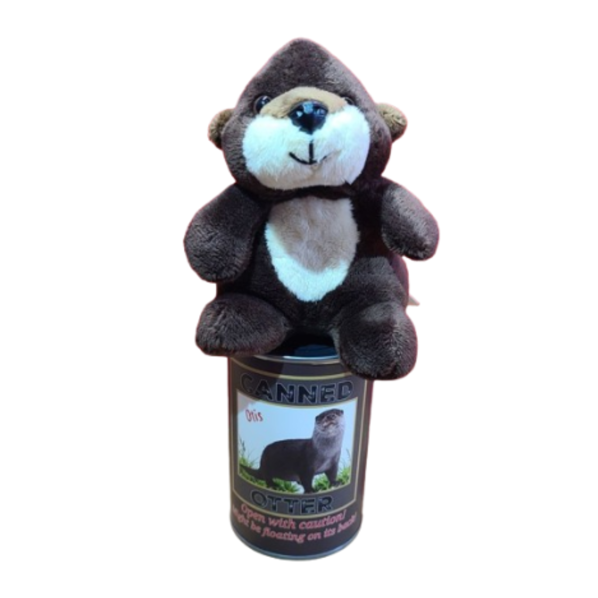 Canned Gifts - Wholesale Stuffed/Plush Toy - Kids & Baby - Otis the Canned Otter Stuffed Animal Plush w/Funny Jokes6