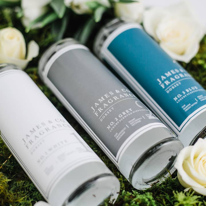 James & Co Fragrance - Wholesale Fragrance Oil - No. 2 Grey Diffuser Refill Oil4