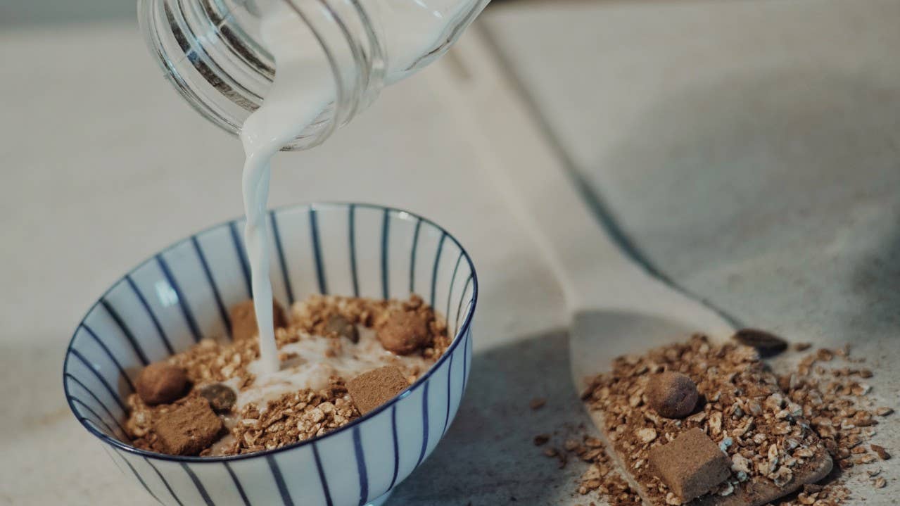 BeeA Energy – wholesale Breakfast cereal – Organic Coconut Choco Protein Breakfast Porridge1