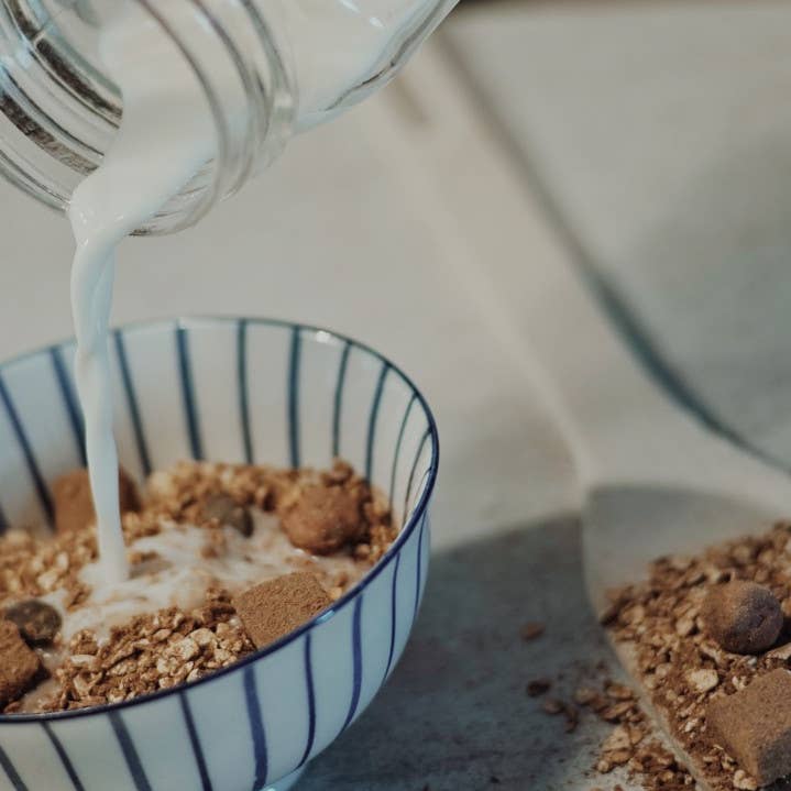 BeeA Energy – wholesale Breakfast cereal – Organic Coconut Choco Protein Breakfast Porridge1