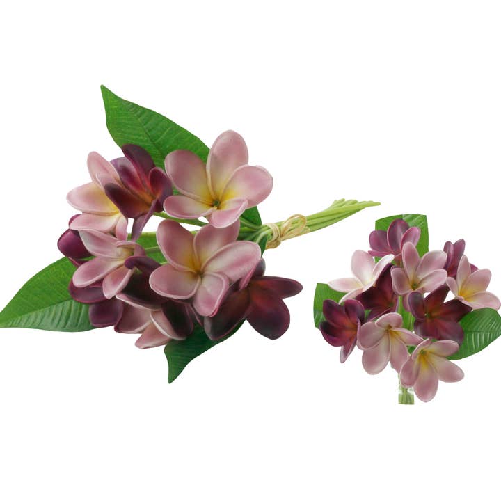 Angel Isabella - Wholesale Artificial Flowers - 10Stems Bundle-Ultra Realistic Tropical Plumeria Frangipani