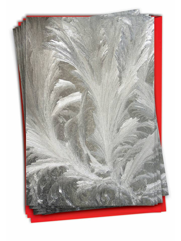 Scatola da 12 biglietti di Natale - Ice Feathers per la vendita all'ingrosso da parte di NobleWorks